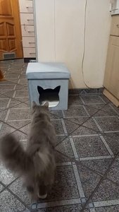 Видео отзыв