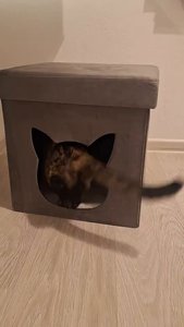 Видео отзыв