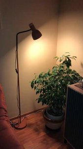 Видео отзыв