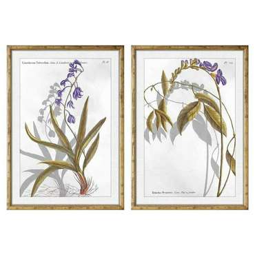 Картина 50 x 2 x 70 cm современный Ботанические растения (2 штук)
