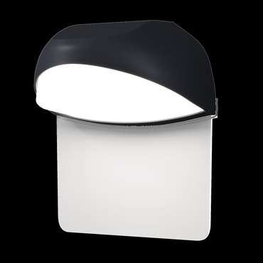 Настенный светильник (бра) Outdoor O447WL-L7GF3K Gloss Outdoor
