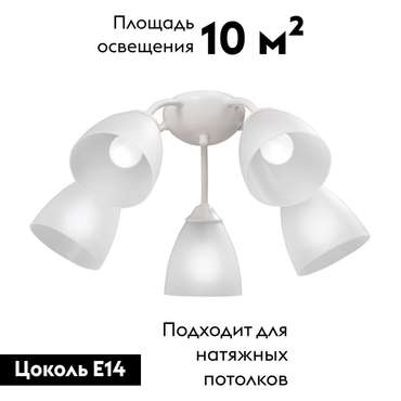 Потолочная люстра V3737-0/5PL (пластик, цвет белый)
