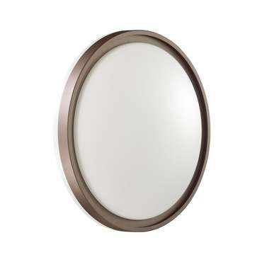 Настенно-потолочный светильник Navil 3044/CL (пластик, цвет белый)