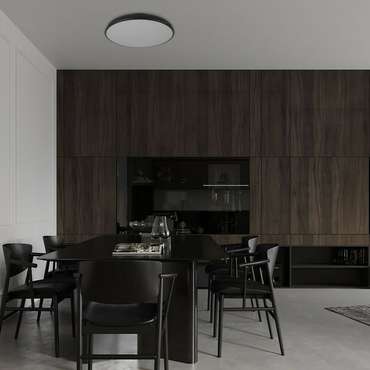 Светильник потолочный Loft It Dime 10371 Black