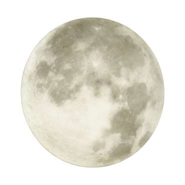 Настенно-потолочный светильник Moon 3084/CL (пластик, цвет серый)