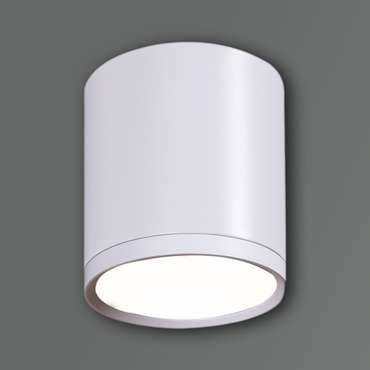 Накладной светильник 81050-9.5-001RT LED5W WT (металл, цвет белый)