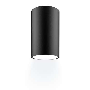 Накладной светильник Arton 59951 7 (алюминий, цвет черный)