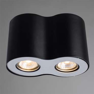 Потолочный светильник Arte Lamp Falcon 