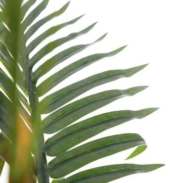 Декоративное растение Areca Зеленый PVC 150 cm Пальмовое