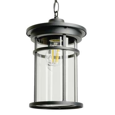 Уличный подвесной светильник Feron Турин PL765 51819