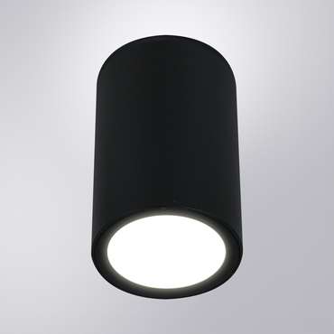 Уличный потолочный светильник Arte Lamp TORCULAR A1807PF-1BK