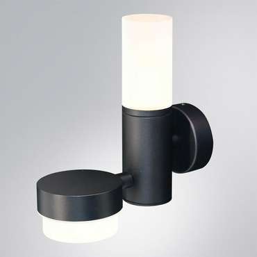 Уличный настенный светильник Arte Lamp BUDAPEST A2360AL-2BK