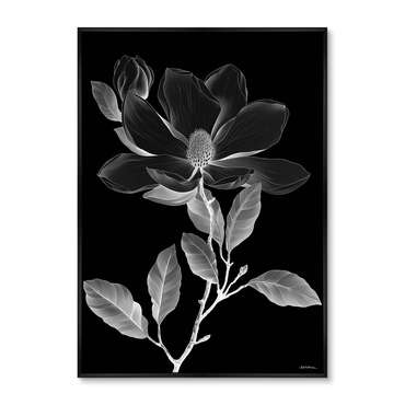Репродукция картины Night bloom, No 1, 2024г.