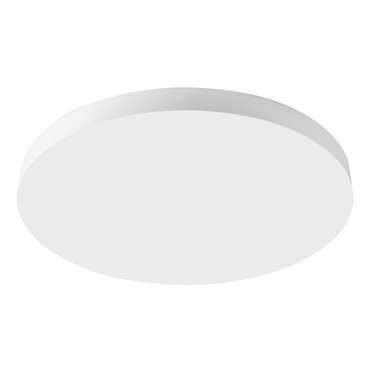 Потолочный светильник AL1600 48887 (акрил, цвет белый)