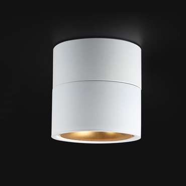 Потолочный светильник AGENDA White+Gold 10W 