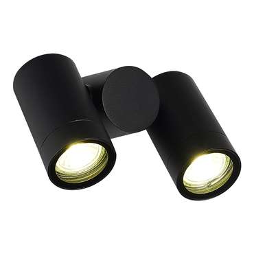 Светильник уличный потолочный ST-Luce черный/белый GU10 2*50W ECOLLO