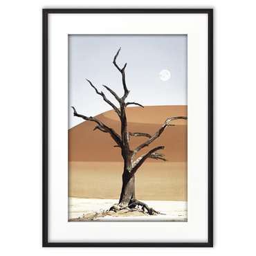 Постер в рамке Дерево в пустыне 21х30 см