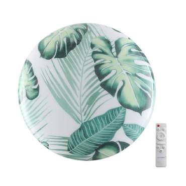 Потолочный светильник Pale 7748/DL (пластик, цвет зеленый)