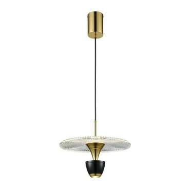 Подвесной светодиодный светильник Ebbo черно-золотого цвета