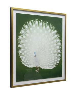 Интерьерный постер White Peacock 85х95 бело-зеленого цвета