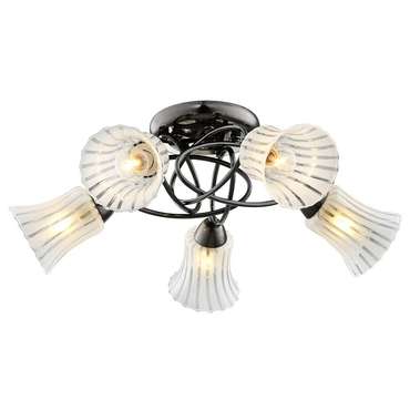 Потолочная люстра IDLamp Zhinevra