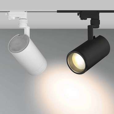Трековый светильник Arlight LGD-ZEUS-4TR-R100-30W Day 024609