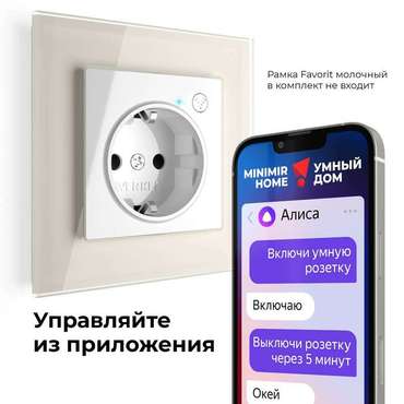 Умная  встраиваемая розетка с заземлением с защитными шторками W1171601