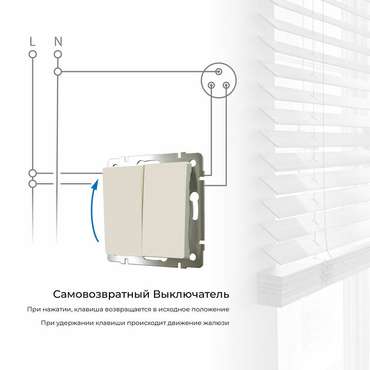 Выключатель двухклавишный с самовозвратом слоновая кость W1122403 Встраиваемые механизмы слоновая кость
