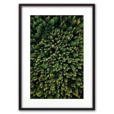Постер в рамке Зеленый лес с высоты 21х30 см