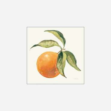 Принт Дикое Яблоко - Le Orange On Cream