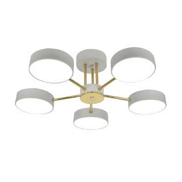Потолочная люстра Rune 10262/5LED (акрил, цвет белый)