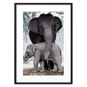 Постер в рамке Слониха с детенышем 21х30 см