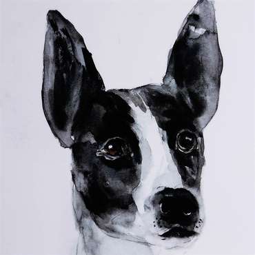 Принт Собака черно-белого цвета