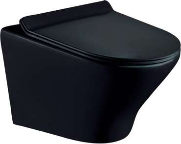 Комплект 3 в 1 инсталляция Rapid SL