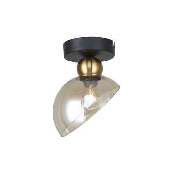 Потолочный светильник Escada Liberty 2109/1P E14*40W Black/Brass