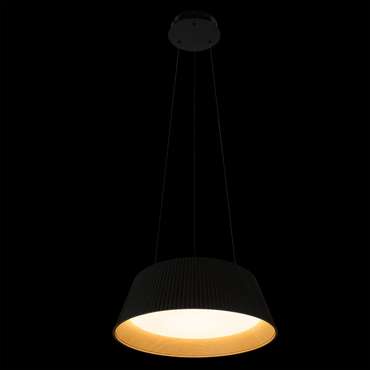 Подвесной светильник Evans 10224P Black (цвет черный)