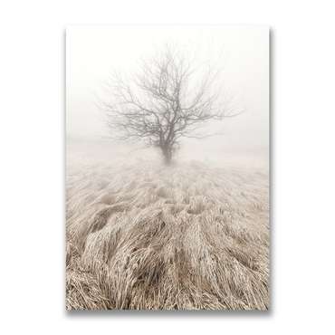 Картина на холсте Дерево в тумане 50х70 см