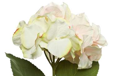 Искусственный цветок Гортензия светло-розового цвета