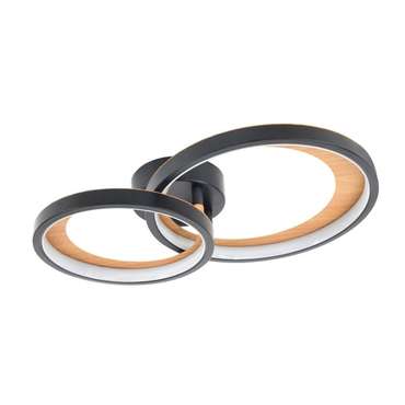 Потолочный светильник CALLISTO 10265/2LED (металл, цвет разноцветный)