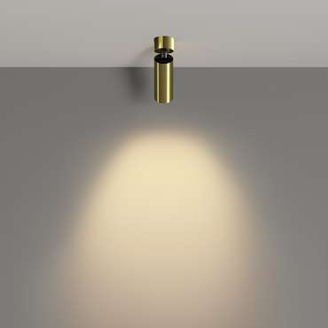 Потолочный светильник Technical C055CL-L12W2.7K-W-BS FOCUS LED Ceiling