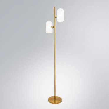Торшер Arte Lamp CASSEL A5454PN-2PB