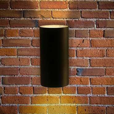 Фасадный светильник Arte Lamp ALCYONE A6109AL-2BK