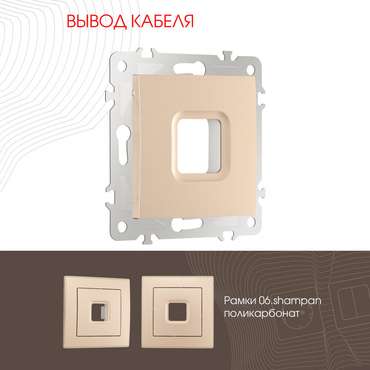 Розетка 206.49-1.shampan (пластик, цвет шампань)