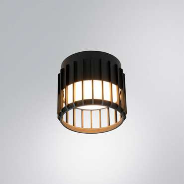 Потолочный светильник Arte Lamp ATRIA A8031PL-1BK