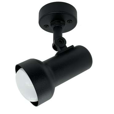 Настенно-потолочный светильник Overhead в черном цвете