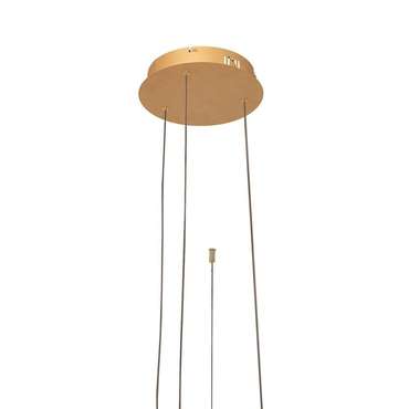 Подвесной светильник Ring 10017/3M (металл, цвет золото)