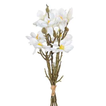 Букет Белый Зеленый 37 x 20 x 41 cm Magnolia