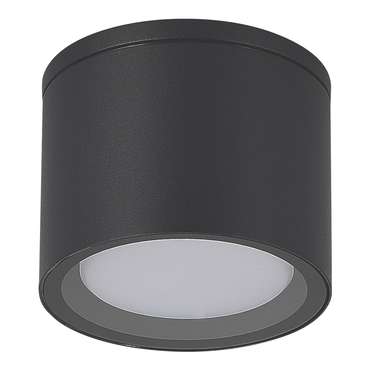 Светильник уличный потолочный ST-Luce серый/белый GX53 1*9W TUBO