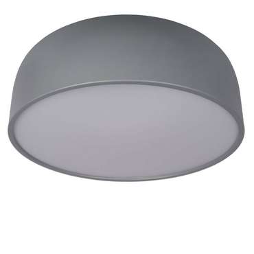 Потолочный светодиодный светильник Loft IT Axel 10201/480 Grey
