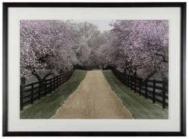 Постер Apple Blossom Lane